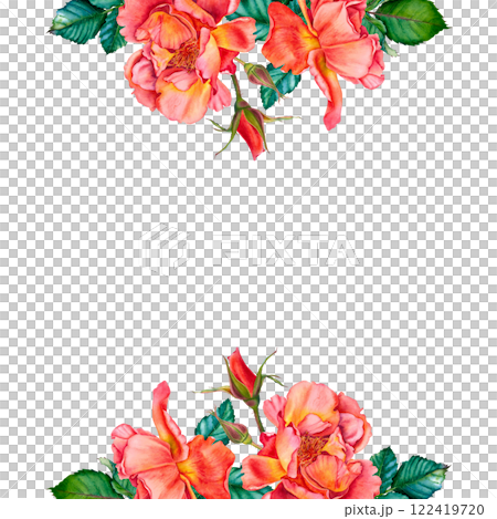 Botanical frame with red rose flowers, leaves and buds. Hand painted watercolor illustration on isolated background. Blank postcard with space for text. For summer floral design, wedding invitation. 122419720