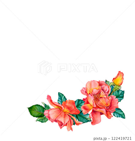 Watercolor floral wreath with red-yellow roses in blossom, green leaves and buds isolated on white background. Hand painted botanical illustration of flowers for invitations, wedding or greeting cards Watercolor floral wreath with red-yellow roses in blossom, green leaves and buds isolated on white background. Hand painted botanical illustration of flowers for invitations, wedding or greeting cards 122419721