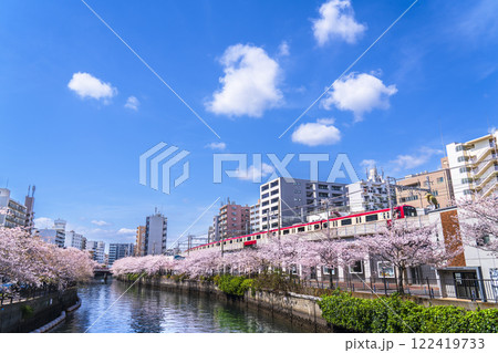 青空広がる大岡川の春の風景　桜咲く川沿いを走る京急線【神奈川県・横浜市】 122419733