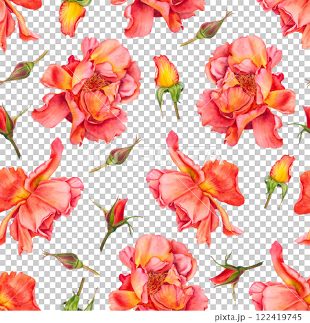 Seamless pattern with red blooming roses and buds on white background. Hand drawn botanical illustration of flowers in vibrant colors for Valentine's Day textile, packaging design, invitations, cards. Seamless pattern with red blooming roses and buds on white background. Hand drawn botanical illustration of flowers in vibrant colors for Valentine's Day textile, packaging design, invitations, cards. 122419745