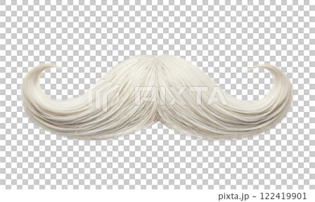A closeup of a white mustache on a plain white background 122419901