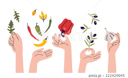 Various hands holding food like pepper, arugula, olives and garlic. Human arms and Gestures. Italian cuisine, spices, pizza preparation. Modern vector isolated illustration, hand drawn, flat design 122420045