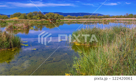 Tablas de Daimiel National Park, Spain 122420061