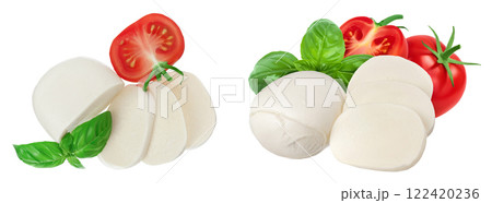 Mozzarella cheese sliced with basil leaf and tomato isolated on white background . Top view. Flat lay 122420236