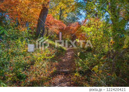秋の紅葉に染まる飯田市の名勝天龍峡の風景(長野県) 秋の紅葉に染まる飯田市の名勝天龍峡の風景(長野県) 122420421
