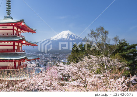 新倉山浅間公園の展望台から見る春の絶景　富士山と満開の桜と忠霊塔【山梨県・富士吉田市】 122420575