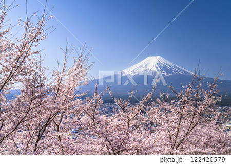 春の新倉山浅間公園の絶景 満開の桜と富士山【山梨県・富士吉田市】 春の新倉山浅間公園の絶景 満開の桜と富士山【山梨県・富士吉田市】 122420579