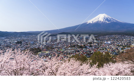 新倉山浅間公園の春の絶景 富士山と満開の桜と街並み【山梨県・富士吉田市】 新倉山浅間公園の春の絶景 富士山と満開の桜と街並み【山梨県・富士吉田市】 122420583