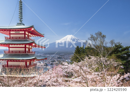 春の新倉山浅間公園の絶景　展望台から富士山、忠霊塔、満開の桜を望む【山梨県・富士吉田市】 122420590