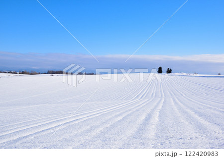 冬　丘のまち　美瑛町　 122420983