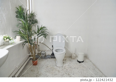 Ceramic toilet bowl in the bathroom. An artificial palm tree is located in the toilet to create comfort. The concept of personal hygiene. High quality photo Ceramic toilet bowl in the bathroom. An artificial palm tree is located in the toilet to create comfort. The concept of personal hygiene. High quality photo 122421432