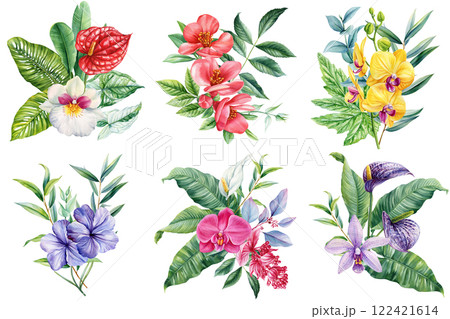 Paradise flower. Tropical summer flowers painted watercolor, isolated exotic jungle bouquet for nature-inspired designs Paradise flower. Tropical summer flowers painted watercolor, isolated exotic jungle bouquet for nature-inspired designs 122421614