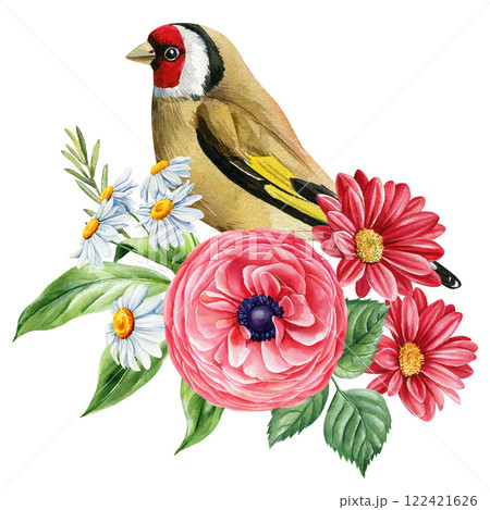 goldfinch watercolor bird with ranunculus, daisies, red gerbera, floral botanical hand-painted illustration wildlife art 122421626