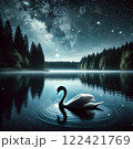 星空の下で静かにたたずむ白鳥 122421769