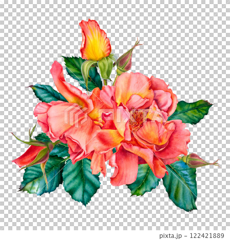 Floral composition of red-yellow roses, buds and leaves. Watercolor botanical illustration. Hand drawn flowers on Isolated background. Use for valentine's day, wedding, birthday cards or invitations. Floral composition of red-yellow roses, buds and leaves. Watercolor botanical illustration. Hand drawn flowers on Isolated background. Use for valentine's day, wedding, birthday cards or invitations. 122421889