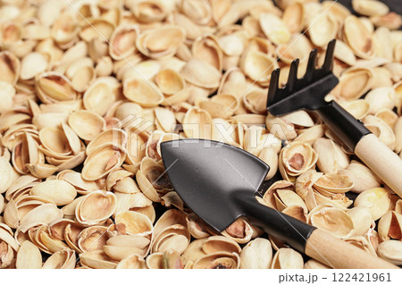 Pistachio Shells. Gardening. Mulching Soil. Care Houseplant Pistachio Shells. Gardening. Mulching Soil. Care Houseplant 122421961