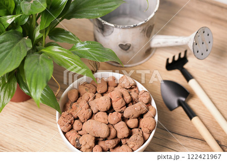 Spathiphyllum Peace Lily Home plant transplant tool, drainage, shovel rake. House Flowers 122421967