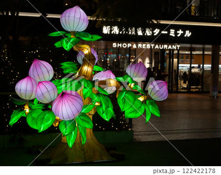 横浜新港ふ頭の横浜春節祭ランタンオブジェ 122422178