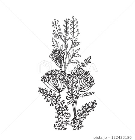 Botanical Line art bouquet of Hydrangea isolated on white background. Hand drawn black and white outline plants and flowers vector illustration. Graphic design for Print Brand Wedding invitation Card 122423180