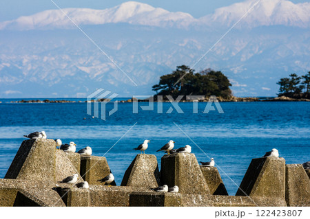 (とやまビューポイント)雨晴海岸より女岩と虻が島と冠雪の立山連峰　3月 122423807