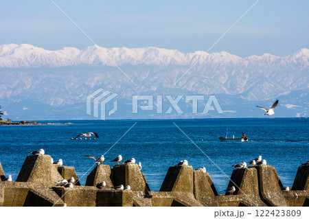 (とやまビューポイント)雨晴海岸より女岩と虻が島と冠雪の立山連峰　3月 122423809