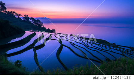 夕暮れ時の棚田と海の絶景 122424138