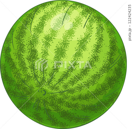 Watermelon Fruit Colored Detailed Illustration. Watermelon Fruit Colored Detailed Illustration. 122424235