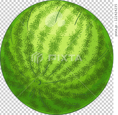 Watermelon Fruit Colored Detailed Illustration. Watermelon Fruit Colored Detailed Illustration. 122424235