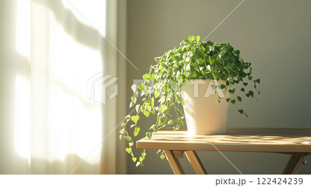 アイビーと折りたたみ式木製机が映える日光差. アイビーと折りたたみ式木製机が映える日光差. 122424239