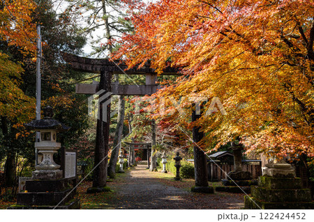 若桜神社の鳥居と紅葉 若桜神社の鳥居と紅葉 122424452