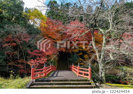 若桜神社の朱色橋と紅葉 若桜神社の朱色橋と紅葉 122424454