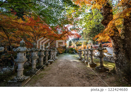 佛通寺の石灯籠と紅葉 122424680