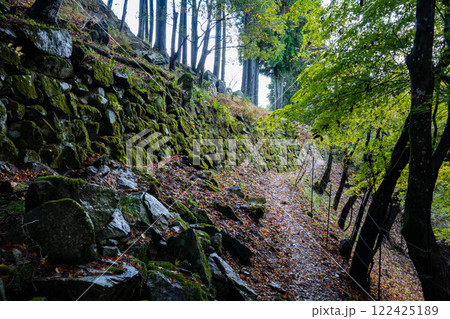 若桜鬼ヶ城跡の石垣と苔 122425189