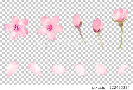 水彩画の桜の花びら　ベクター素材 122425334