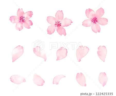 水彩画の桜の花びら　ベクター素材 122425335