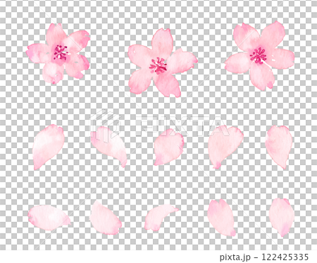水彩画の桜の花びら　ベクター素材 122425335