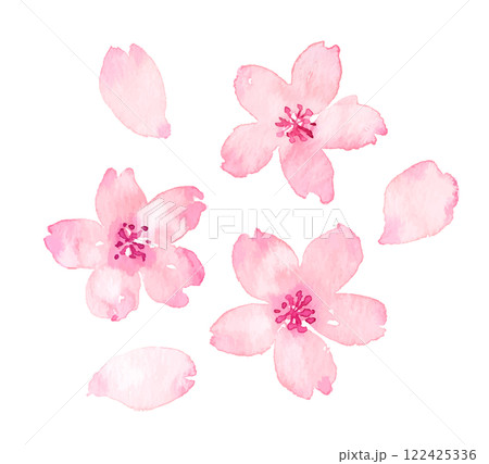 水彩画の桜の花びら　ベクター素材 122425336