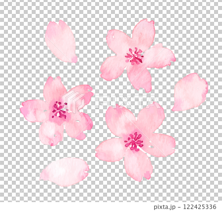水彩画の桜の花びら　ベクター素材 122425336