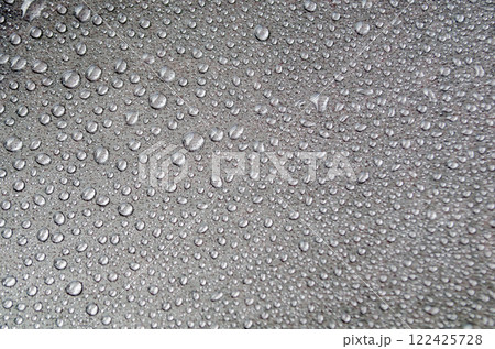 Glistening Water Droplets Against a Dark Backdrop. Glistening Water Droplets Against a Dark Backdrop. 122425728