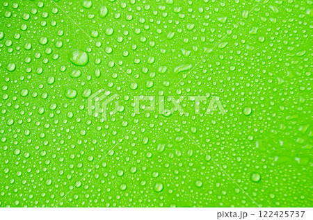 Detailed View of Droplets Scattered on a Lush Green Canvas Detailed View of Droplets Scattered on a Lush Green Canvas 122425737