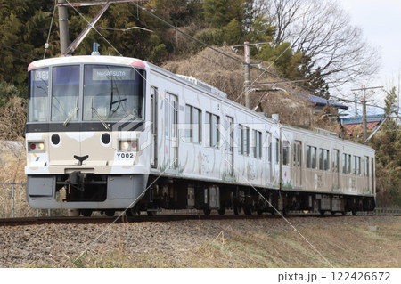 横浜高速鉄道こどもの国線を行くY000系 横浜高速鉄道こどもの国線を行くY000系 122426672