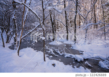 凍結した沼【長野県】 凍結した沼【長野県】 122426889