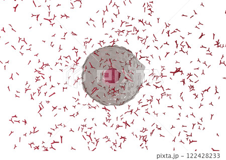 抗体を産生する形質細胞のイメージ(細胞膜半透過) 122428233