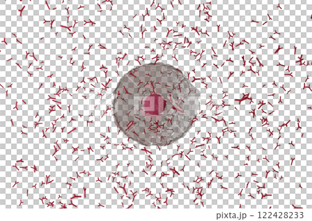 抗体を産生する形質細胞のイメージ(細胞膜半透過) 122428233