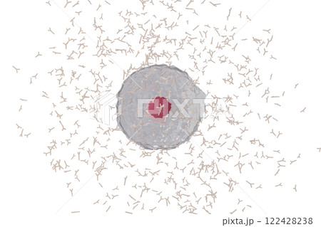 抗体を産生する形質細胞のイメージ(細胞膜半透過) 抗体を産生する形質細胞のイメージ(細胞膜半透過) 122428238