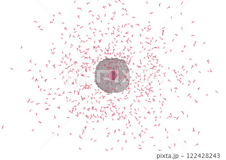 抗体を産生する小型の形質細胞のイメージ(細胞膜半透過) 122428243