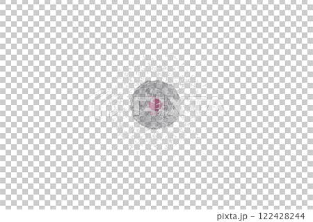 抗体を産生する小型の形質細胞のイメージ(細胞膜半透過) 122428244