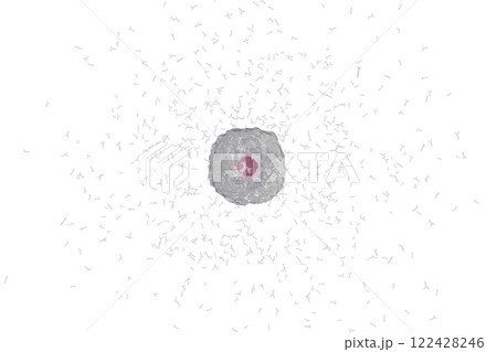 抗体を産生する小型の形質細胞のイメージ(細胞膜半透過) 122428246