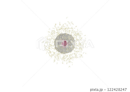 抗体を産生する小型の形質細胞のイメージ(細胞膜半透過) 122428247