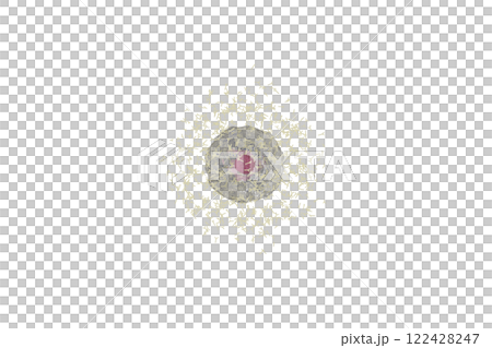 抗体を産生する小型の形質細胞のイメージ(細胞膜半透過) 122428247